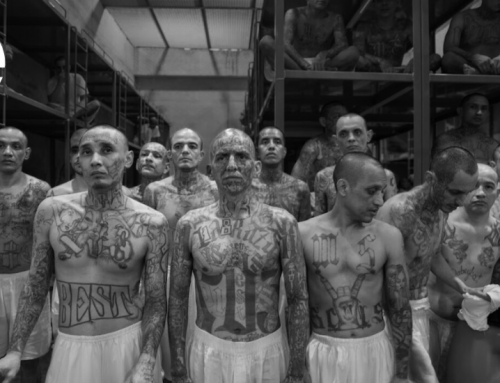 Destruction of Criminal Agency – El Salvador’s CECOT Prison – A New Model for Criminal Neutralization – 2026